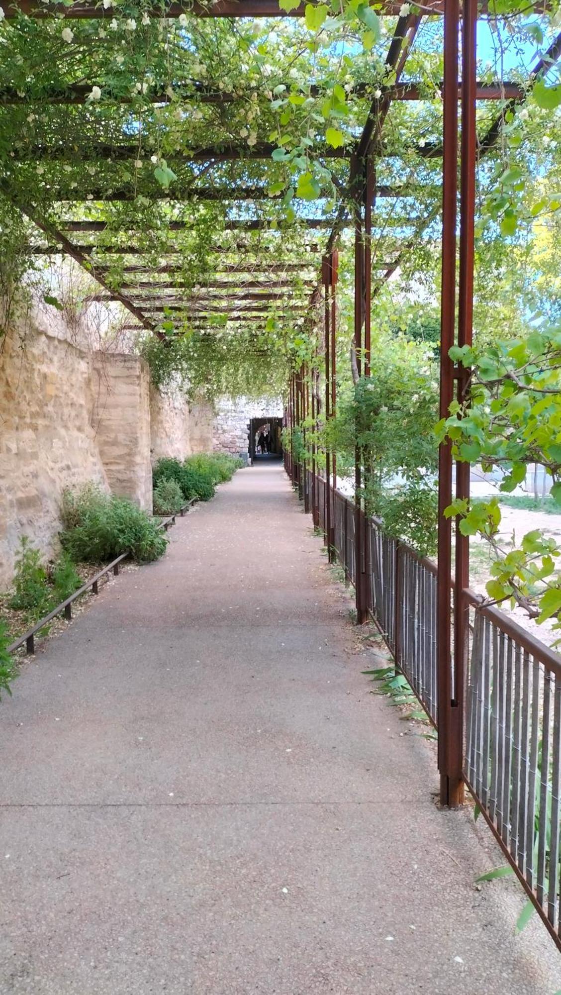 Studio Terrasse, Intra-Muros, Climatise Avec Wifi Avignon Ngoại thất bức ảnh